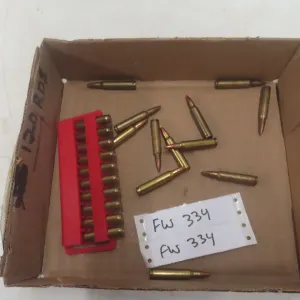 .223 Rem Ammo – 23 Rounds