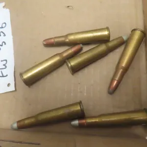 .348 Rem Ammo – 6 Rounds