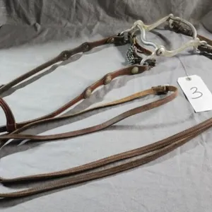 Horse Bridle, Bit and Reins