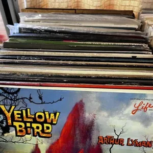 66 PCS ASSORTED VINTAGE RECORDS / ASSORTED GENRE'S