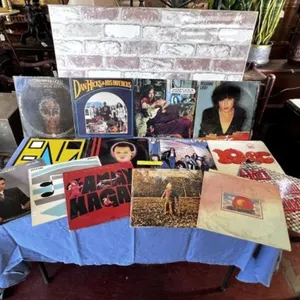 14 PCS ASSORTED VINTAGE RECORD ALBUMS / ASSORTED