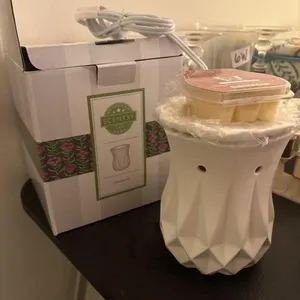 Scentsy wax melter