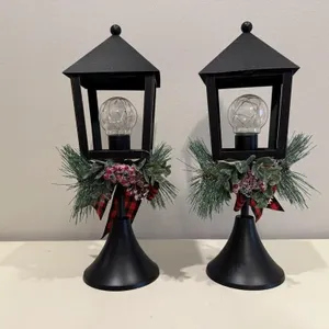 Battery operated holiday lamps (2)