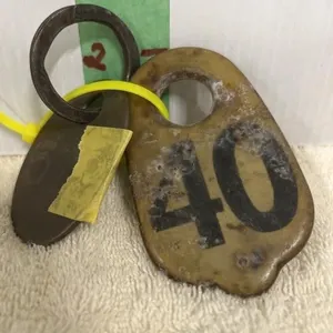 METAL COW TAGS