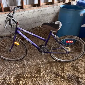Triumph Bicycle