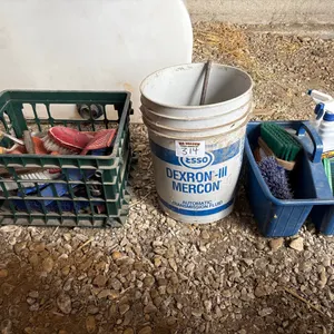 Equine Care Supplies