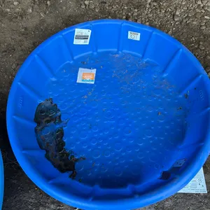 Wading Pool