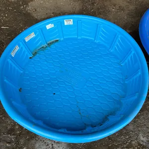 Wading Pool
