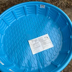 Wading Pool