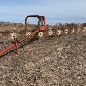 Wheel Rake