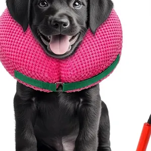 Dog Recovery Collar