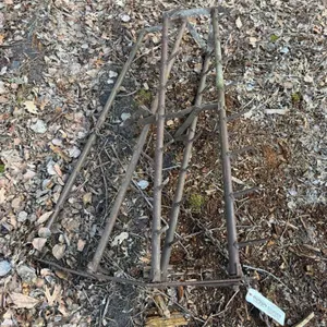 1 Section of Drag