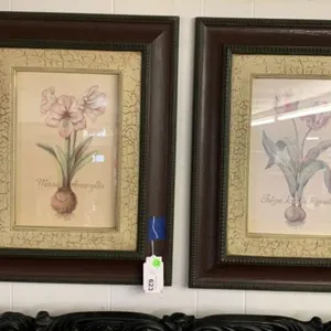 (2X) FRAMED JOAN  COLE FRAMED ART -