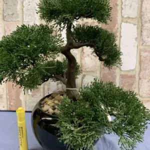 FAUX BONSAI PLANT IN CERAMIC PLANTER