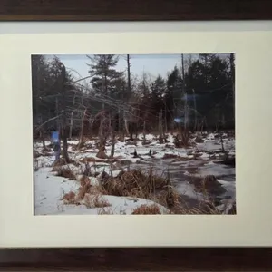 "Dead of Winter"