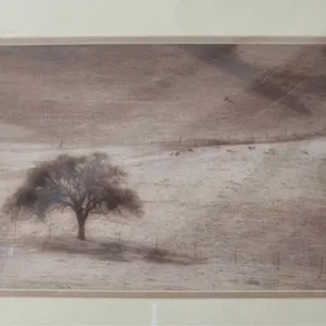 Lone Oak