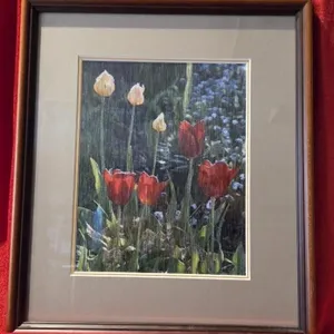 Nancy's Garden