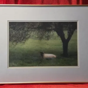 In the Orchard Green