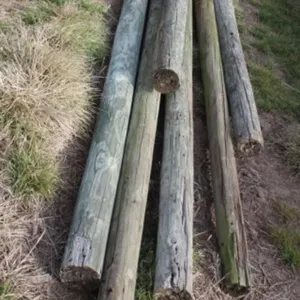 Six 10'L x 6" Treated Posts