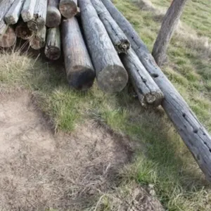 15+ 30-37'L Utility Poles