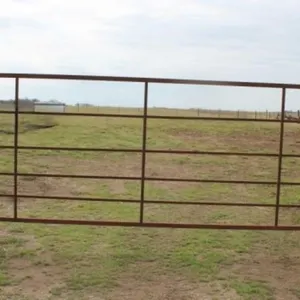 16' Metal Gate