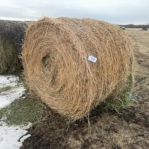 2ND CUT ALFALFA 1340 LB ROUND BALE - SAMPLE BALE FOR LOT 8Y