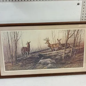 Gregory F Messier deer print. 35” x 20”