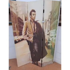 * 3-Panel Double-Sided Wall Divider Featuring James Dean - Each Panel = 16" x 71" - Cannot Ship