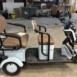 New! 2025 Mini Electric Tricycle Golf Cart Model IRGC40 (GREEN COLOR)