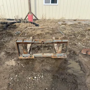 Set of pallet forks