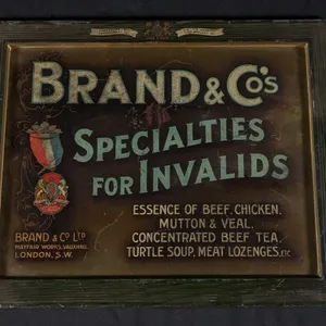 SELF FRAMED TIN SIGN BRAND & CO'S SPECIALTIES FOR INVALIDS (TURTLE SOUP)
