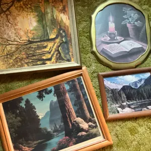 Framed Prints