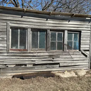 Wooden Shed Structure