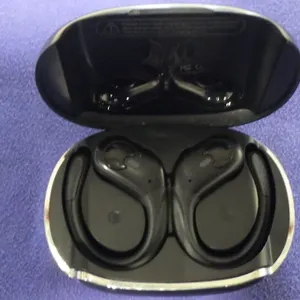 BX30 Earbuds
