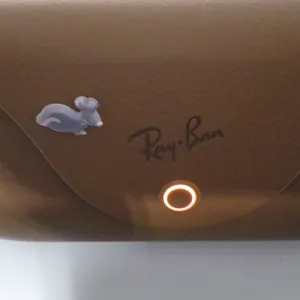 RayBan Meta Charge Case ***NOT TESTED***