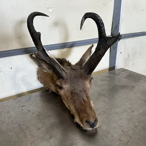 April 14, 2026 - Dark Horse Boulder - Iconic Studio-Era Decor Auction