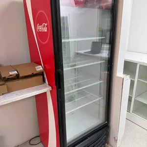 Single Glass Door Coke Cooler - Model G319 C02