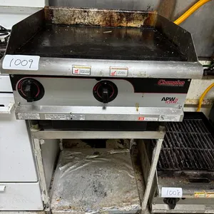 APW Gas Grill (25" x 24" x 40 " High) on Stainless Steel Stand
