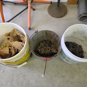 Tire Chains, Log Chains And Misc. Fasteners