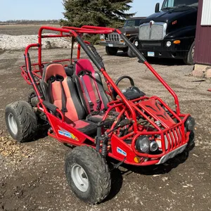 Trailmaster 300 XRS 300cc Go Cart, Should be in Running Order, Very Few Miles on Unit, *Might Need a
