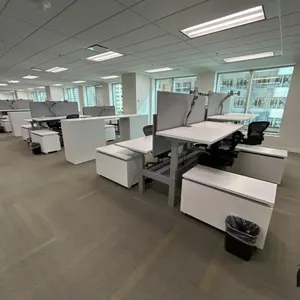 Quantity of Adjustable Stand/Sit Workstation & More
 UNRESERVED