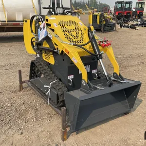 2024 EGN Skid Steer Loader EG360
 UNRESERVED