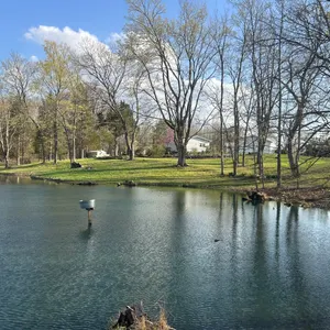 305 Campers Lane, Creal Springs, IL 62922