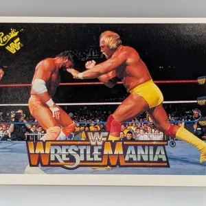 1990 Classic Wrestling Hulk Hogan HOF 95 Corner