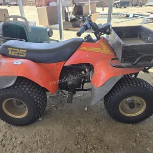 Suzuki 125 ATV