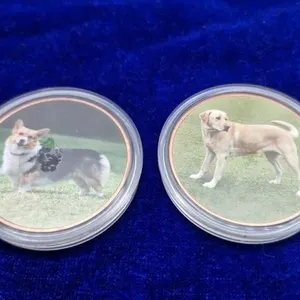 The Rising Sunmint 2010 Dog Coins