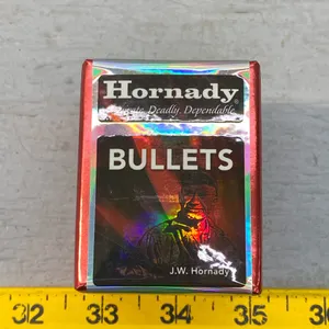 .22 CAL BULLETS