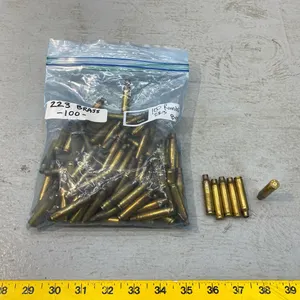 [100] .223 BRASS