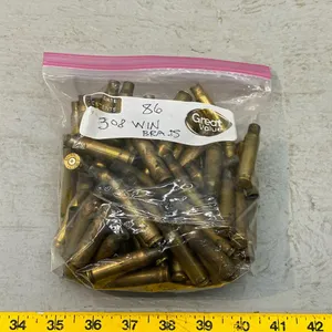 .308 WIN BRASS