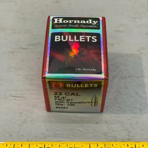 .22 BULLETS